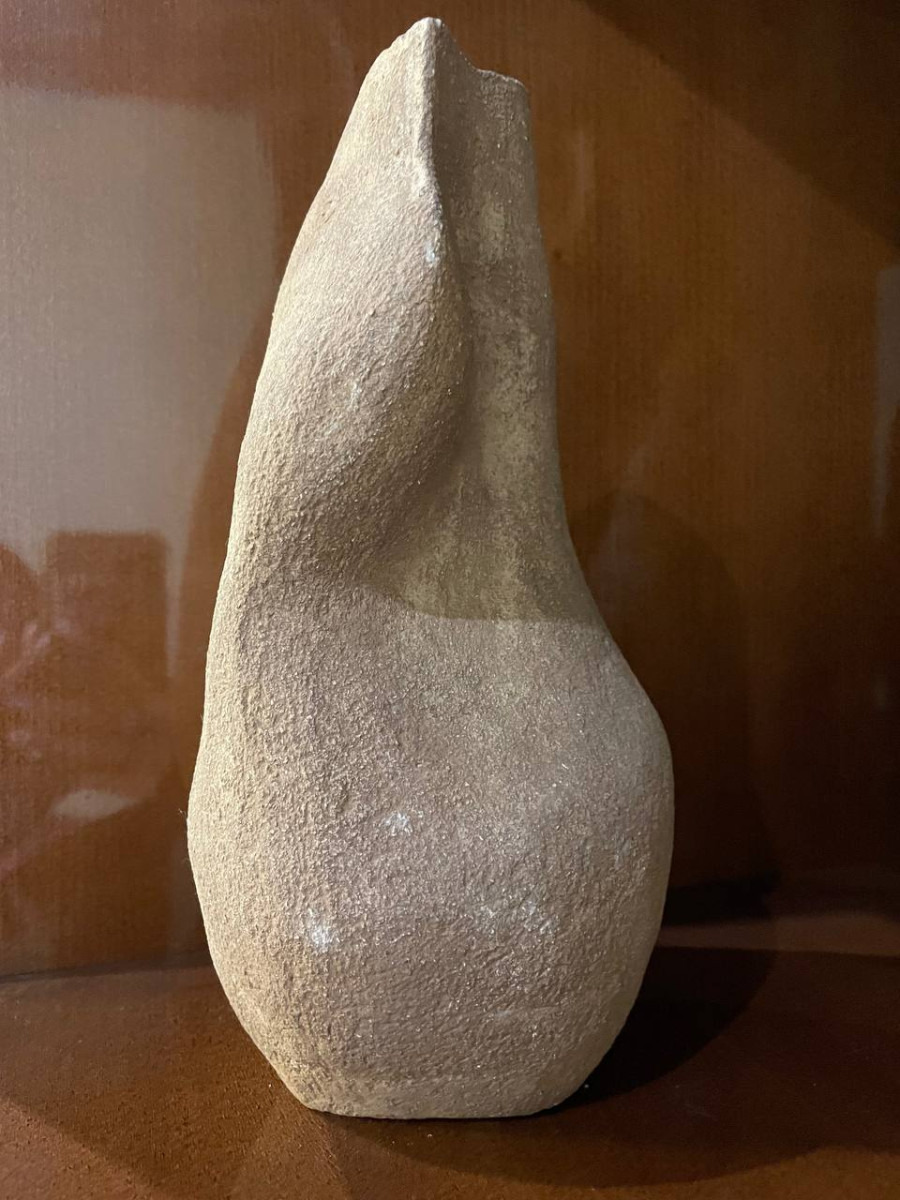 “Vasundhara”, VOHON